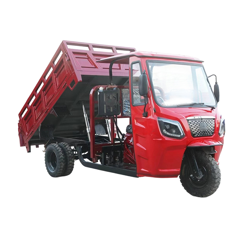 5-Wheel Heavy Duty Cargo Trike